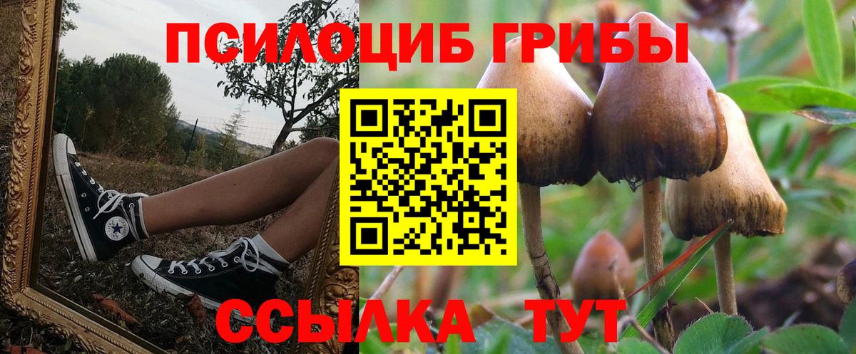 Псилоцибиновые грибы прущие грибы Соль-Илецк