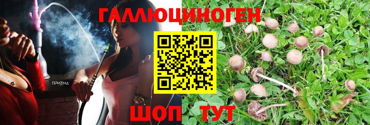 Соль-Илецк  Галлюциногенные грибы Psilocybe  Псилоцибиновые грибы Psilocybine cubensis  Вход с VPN 
